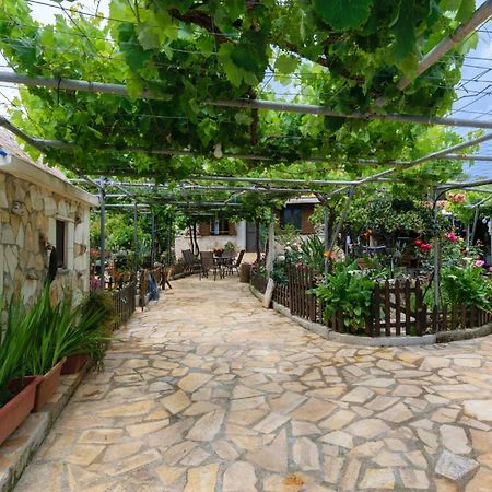 Dimitris'S Country House Ajá Kültér fotó