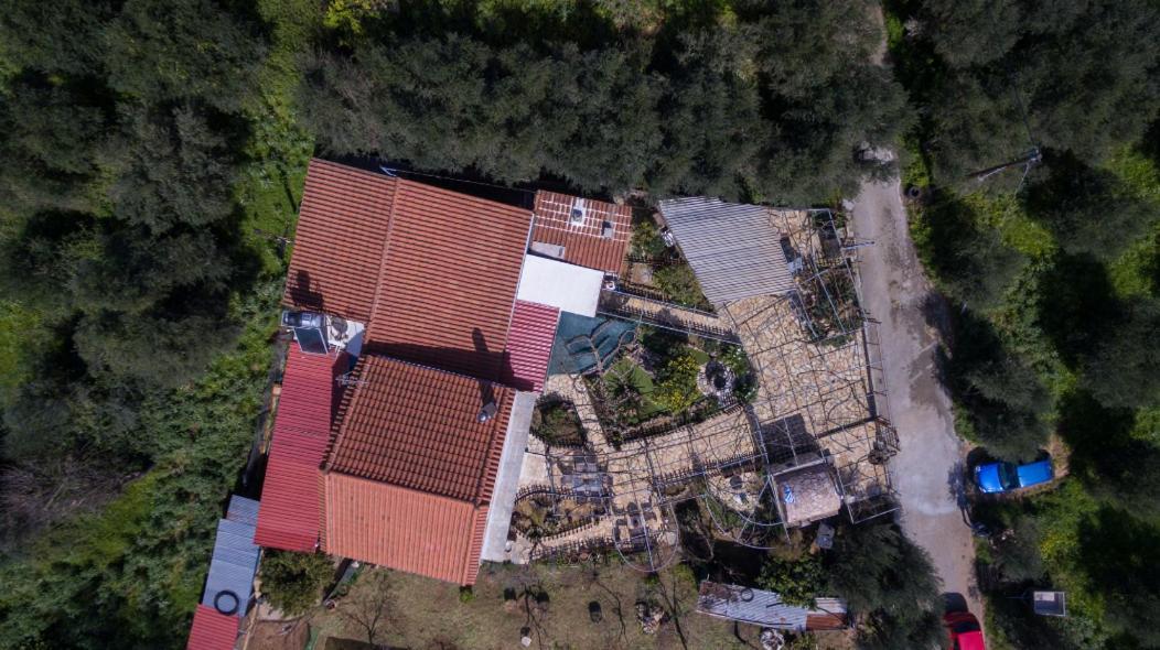 Dimitris'S Country House Ajá Kültér fotó