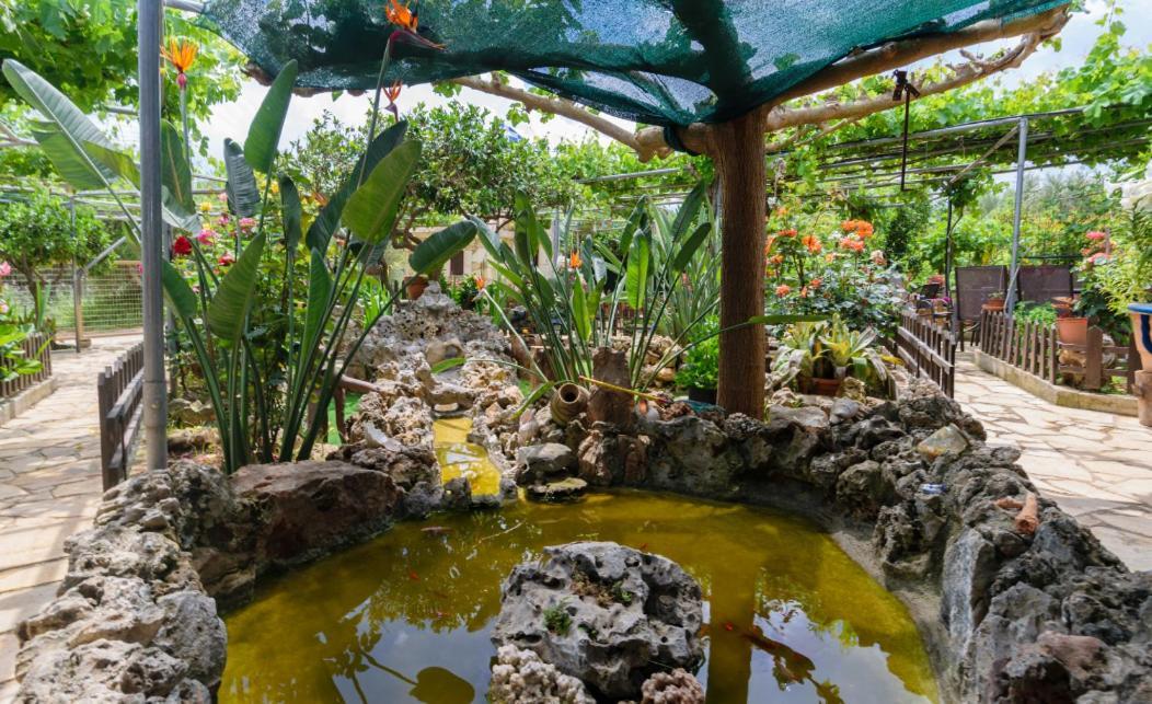 Dimitris'S Country House Ajá Kültér fotó