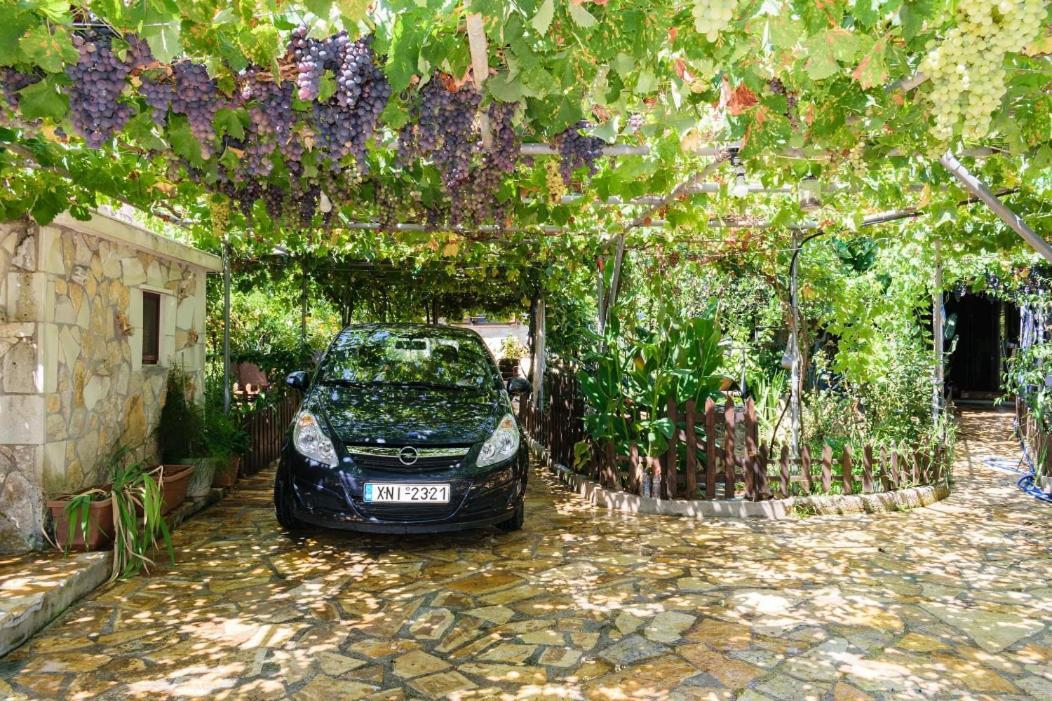 Dimitris'S Country House Ajá Kültér fotó