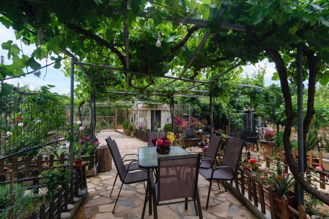 Dimitris'S Country House Ajá Kültér fotó