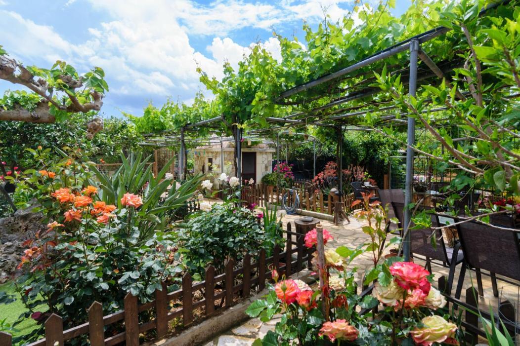 Dimitris'S Country House Ajá Kültér fotó