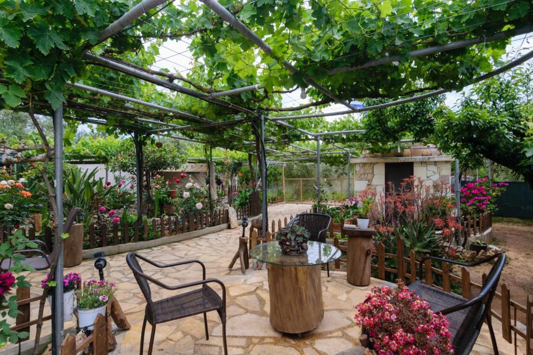 Dimitris'S Country House Ajá Kültér fotó
