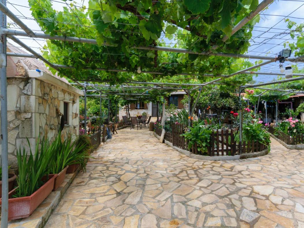 Dimitris'S Country House Ajá Kültér fotó